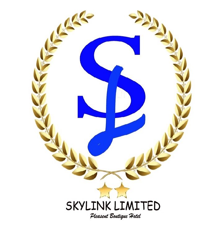 skylink new logo psd copy.jpg 2